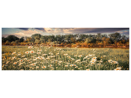 panoramic-canvas-print-the-ox-on-the-river