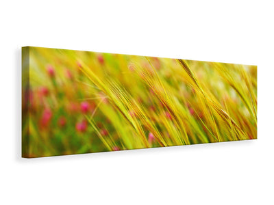 panoramic-canvas-print-the-wheat-field