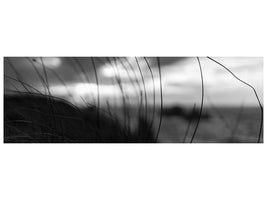 panoramic-canvas-print-the-wind-brings-the-night