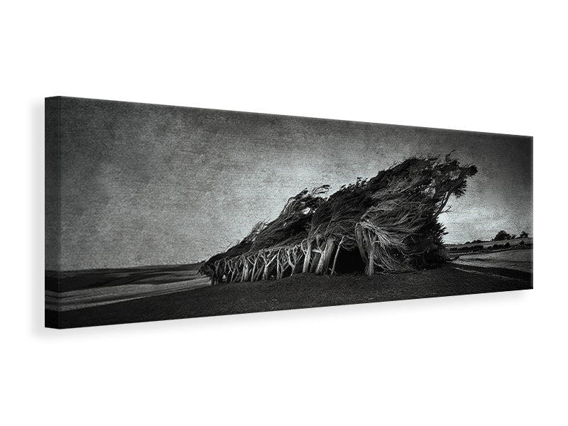 panoramic-canvas-print-wind-blown