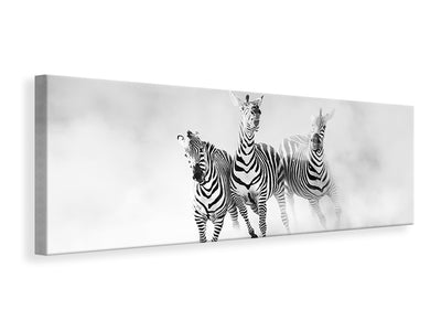 panoramic-canvas-print-zebras