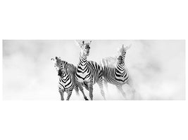 panoramic-canvas-print-zebras