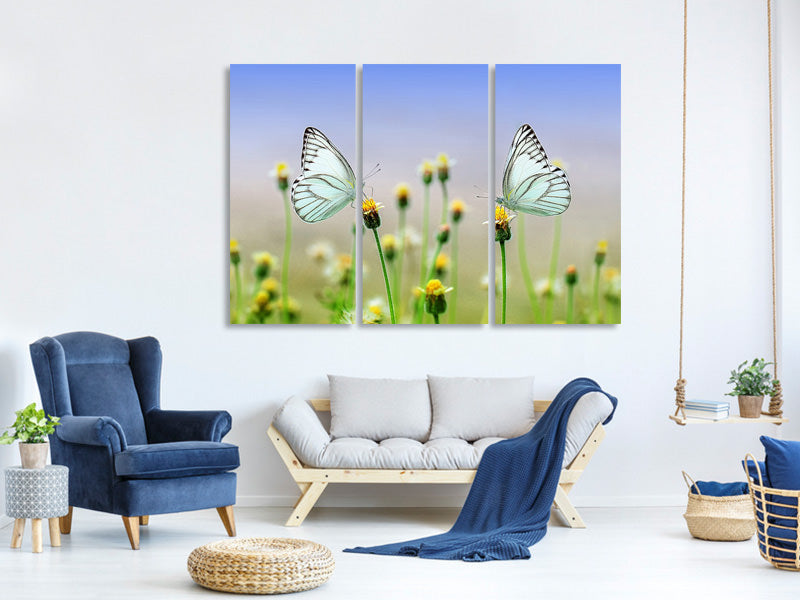 3-piece-canvas-print-2-butterflies