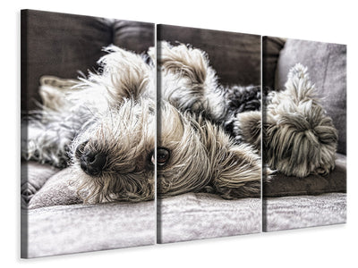 3-piece-canvas-print-2-cute-dogs