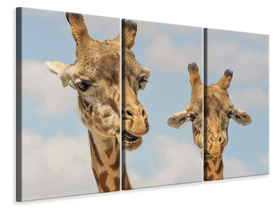 3-piece-canvas-print-2-giraffes