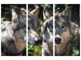 3-piece-canvas-print-2-wolves