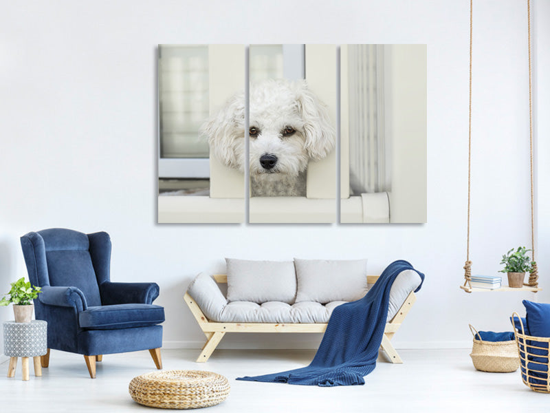 3-piece-canvas-print-a-dog-girl-to-fall-in-love