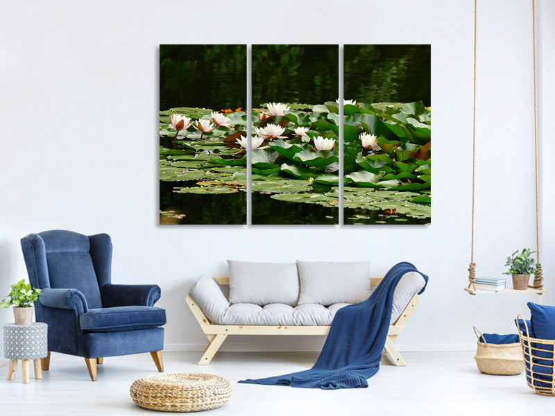 3-piece-canvas-print-a-field-full-of-water-lilies