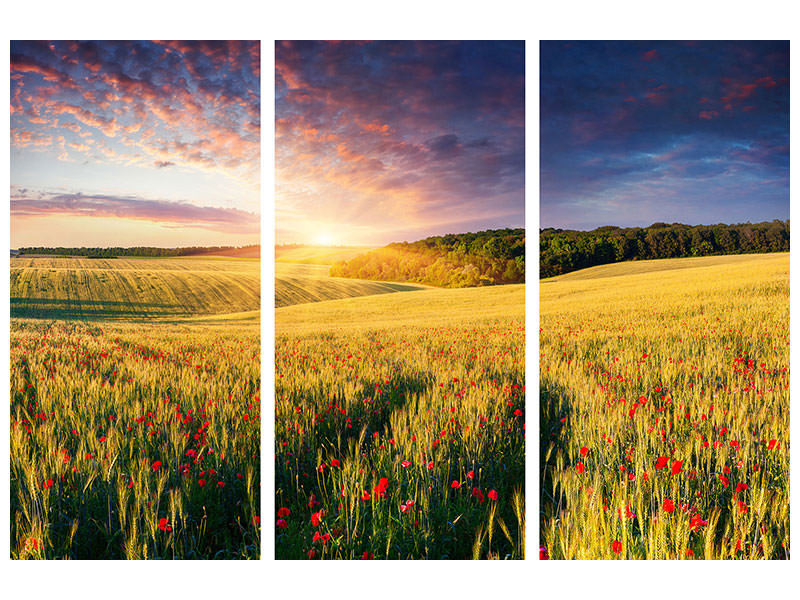 3-piece-canvas-print-a-flower-field-at-sunrise