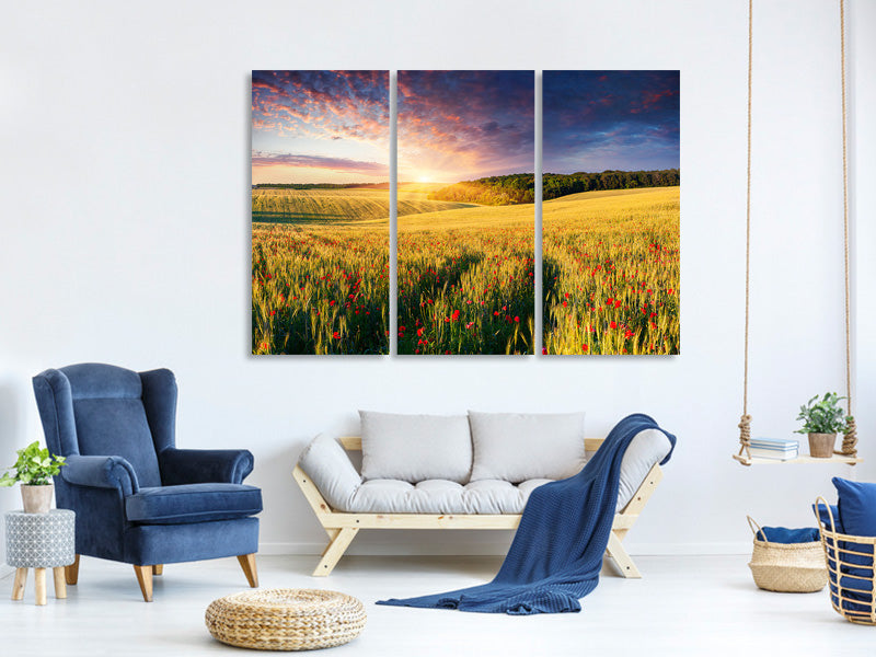 3-piece-canvas-print-a-flower-field-at-sunrise