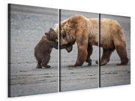 3-piece-canvas-print-a-little-bear-hug