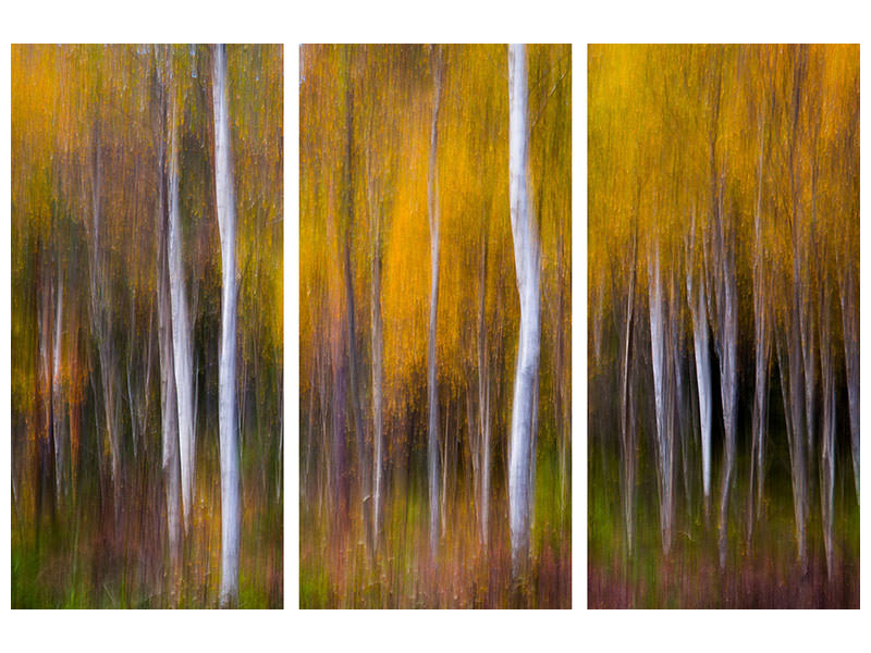 3-piece-canvas-print-abstract-fall