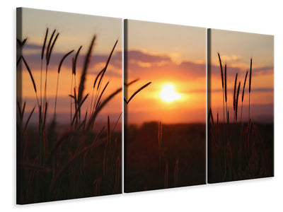 3-piece-canvas-print-adorable-sunset