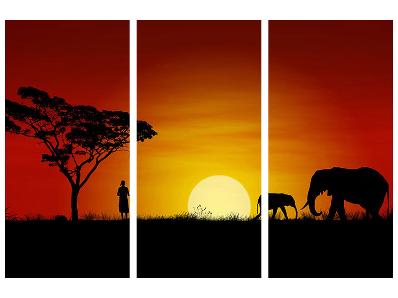 3-piece-canvas-print-african-steppe-elephant