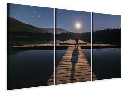 3-piece-canvas-print-alone-at-full-moon