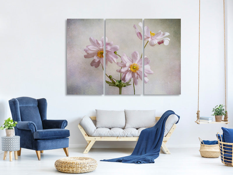 3-piece-canvas-print-anemones