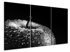 3-piece-canvas-print-appel