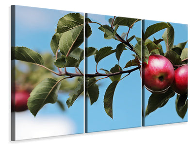 3-piece-canvas-print-apple-on-the-tree