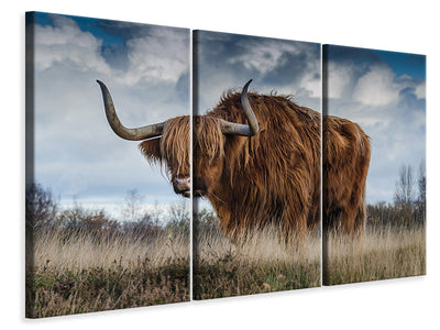 3-piece-canvas-print-attention-bull