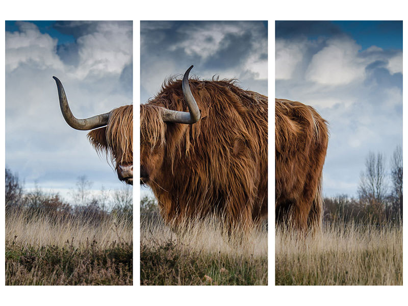 3-piece-canvas-print-attention-bull