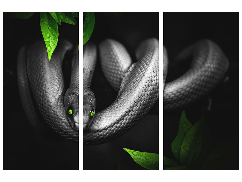 3-piece-canvas-print-attention-snake