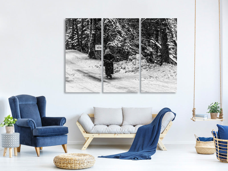 3-piece-canvas-print-attention-wrong-way