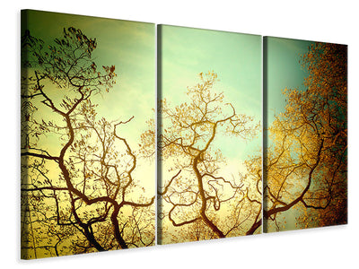 3-piece-canvas-print-autumn-trees-ii