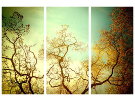 3-piece-canvas-print-autumn-trees-ii