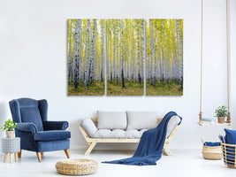 3-piece-canvas-print-autumnal-birch-forest