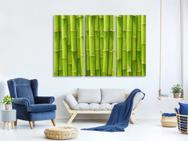 3-piece-canvas-print-bamboo-wall
