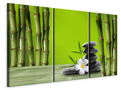 3-piece-canvas-print-bamboo