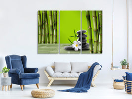 3-piece-canvas-print-bamboo