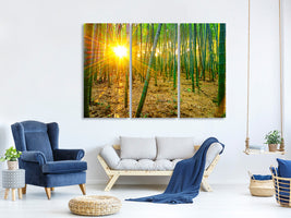 3-piece-canvas-print-bamboos