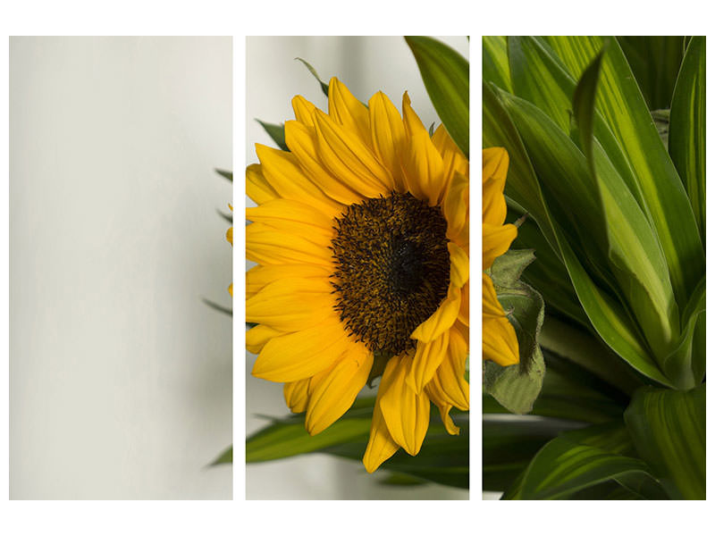 3-piece-canvas-print-beautiful-sunflower