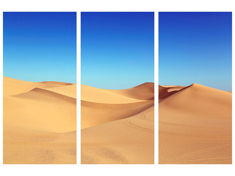3-piece-canvas-print-beauty-desert