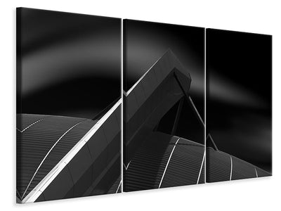 3-piece-canvas-print-big-hold