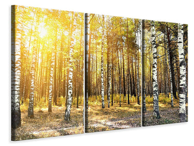 3-piece-canvas-print-birch-forest