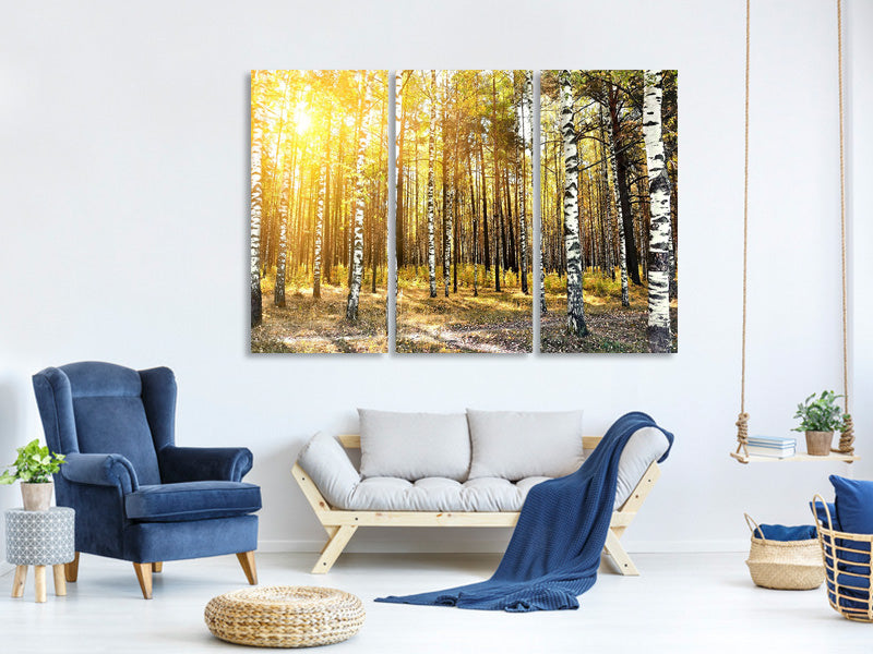 3-piece-canvas-print-birch-forest