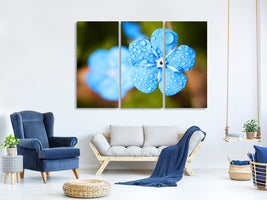 3-piece-canvas-print-blue-flower-with-morning-dew