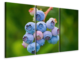 3-piece-canvas-print-blueberries-in-nature