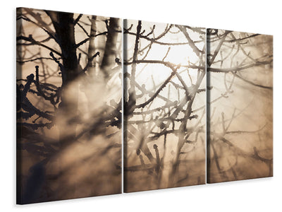 3-piece-canvas-print-branches-in-fog-light