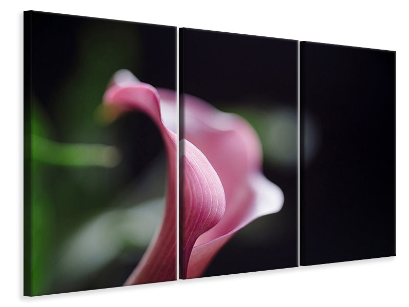 3-piece-canvas-print-calla-in-purple