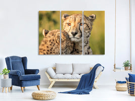 3-piece-canvas-print-cheetah-eyes