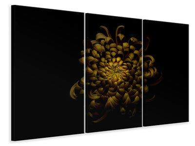3-piece-canvas-print-chrysanthemum