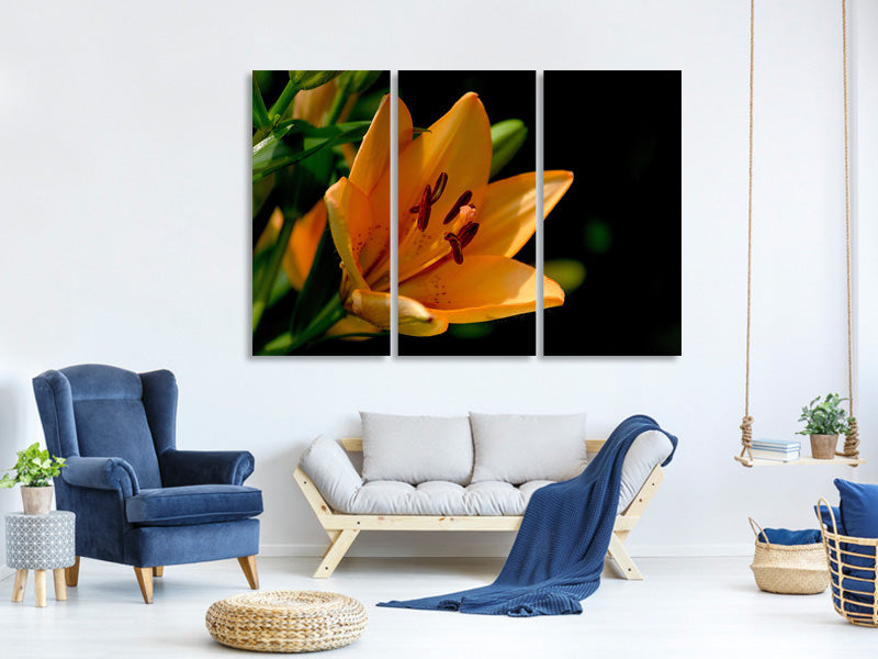 3-piece-canvas-print-close-up-lily-in-orange