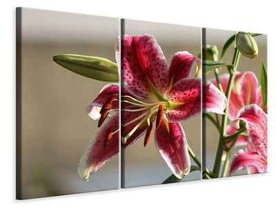 3-piece-canvas-print-close-up-lily-in-red