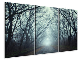 3-piece-canvas-print-cloud-forest
