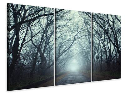 3-piece-canvas-print-cloud-forest