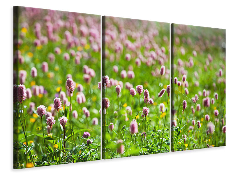 3-piece-canvas-print-clover