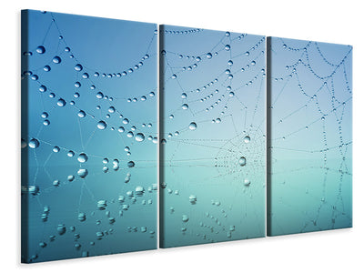 3-piece-canvas-print-cobweb-in-morning-dew